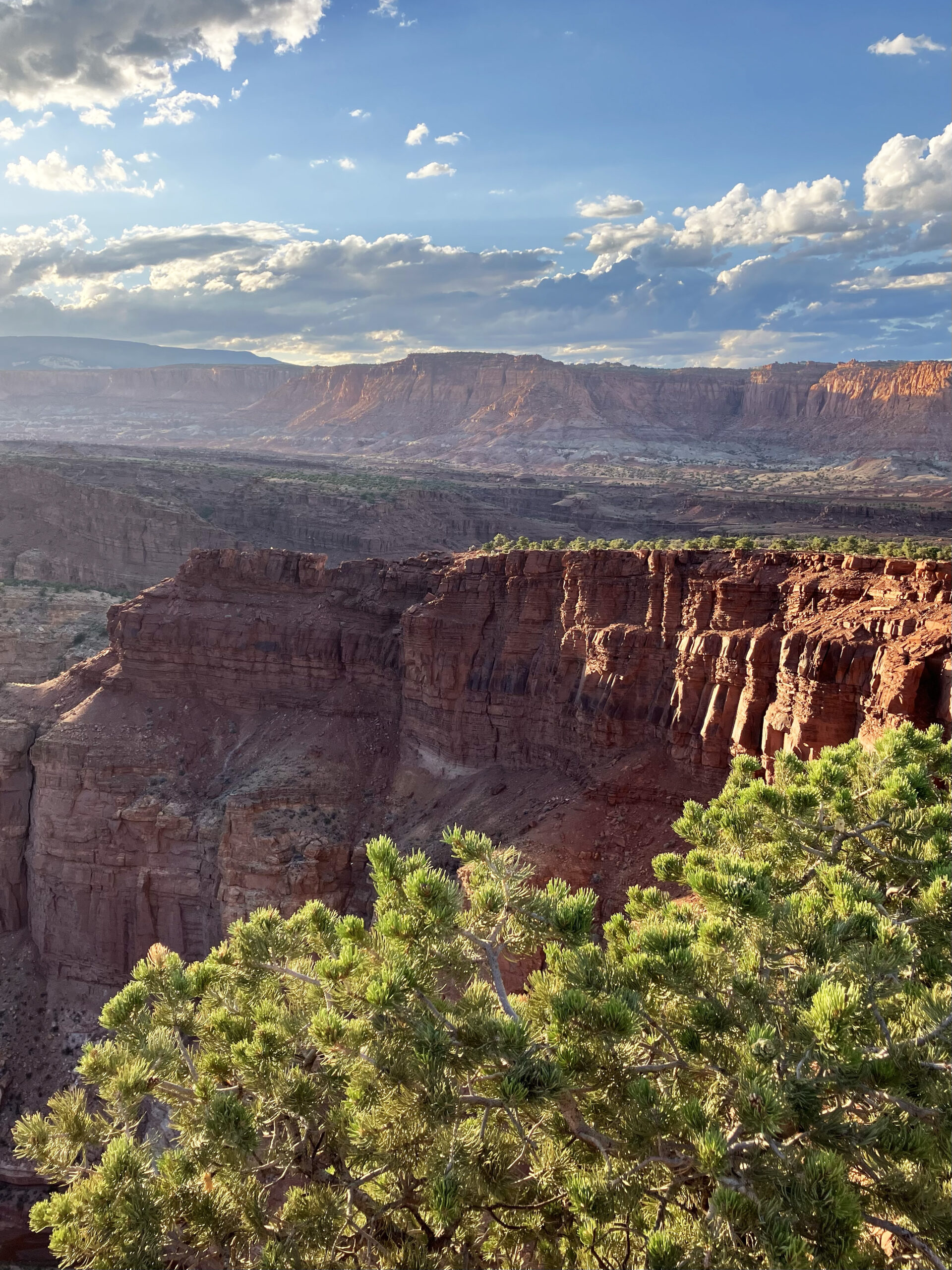 Capitol Reef National Park